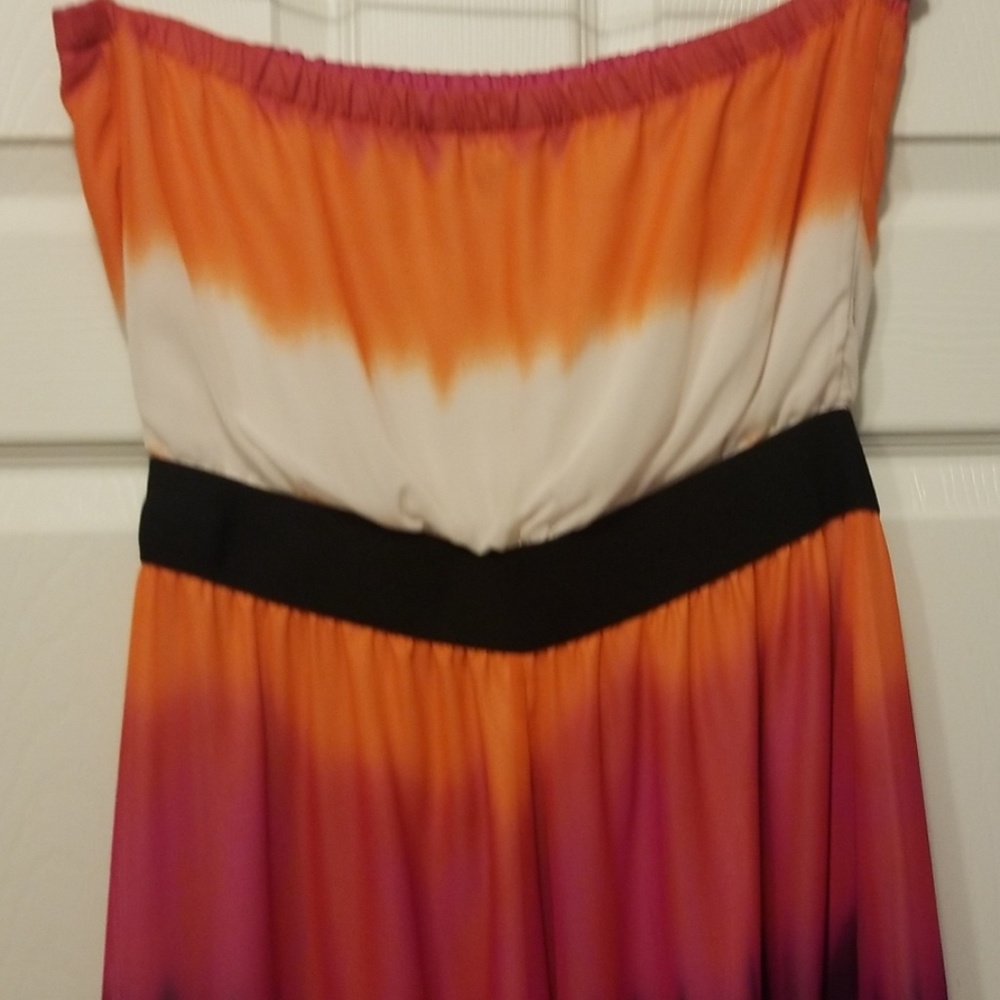 Express Dress - Picture 3 of 3